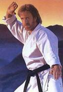 ChuckNorris1.jpg (14 KB) Τσακ Νόρις