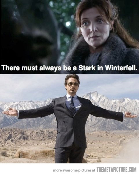 funny-Game-of-Thrones-Tony-Stark-Iron-Man funny-Game-of-Thrones-Tony-Stark-Iron-Man