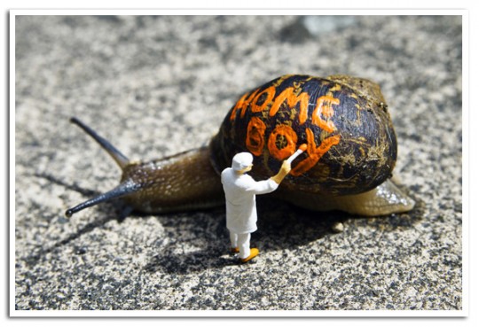 Slinkachu_Snail_1-540x369