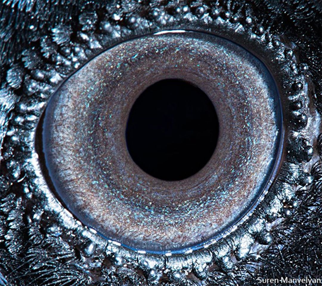 eyes-8