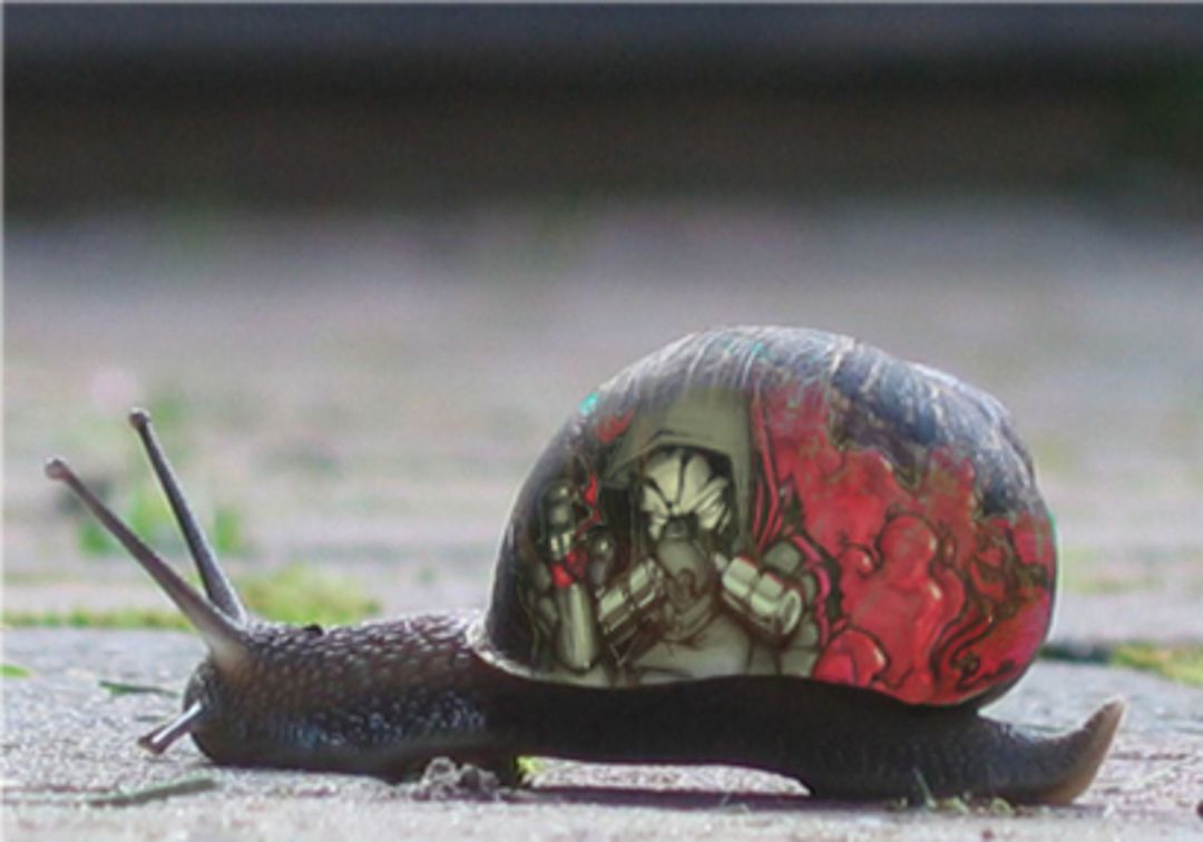 graffiti_snail_by_jazzyjef-d32u9gg
