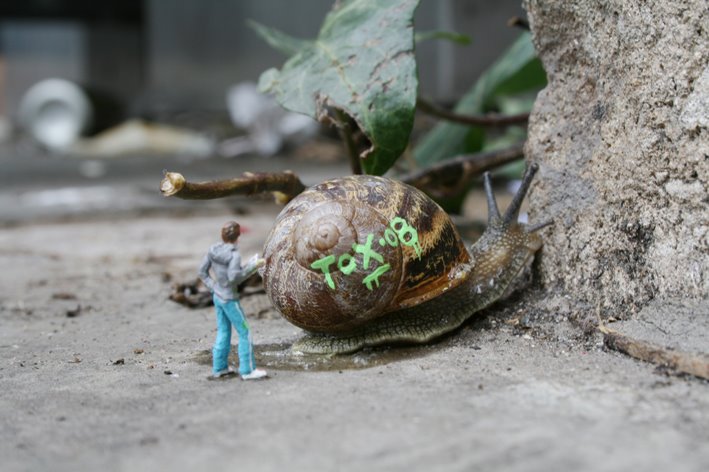snail 2 - blog