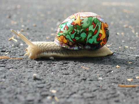 snail-graffiti3