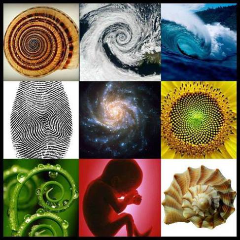 sacred-geometry1