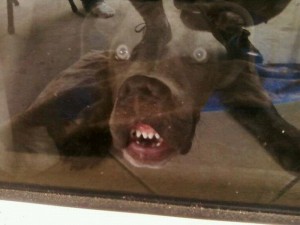 acid_picdump_85