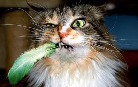 1112